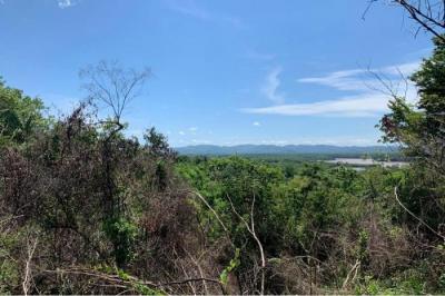 131934 - Soná - lotes