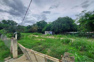 131992 - Penonomé - lotes