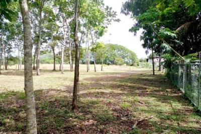 132283 - Los olivos - lots