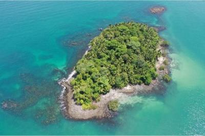 132331 - Balboa - lotes