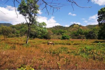 132385 - Pacora - lotes