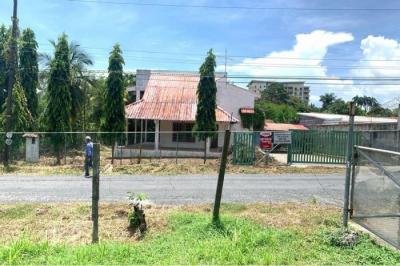 132650 - Nueva gorgona - casas