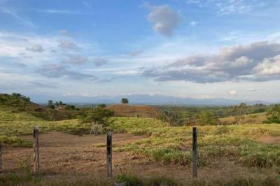 133165 - San Lorenzo - lots