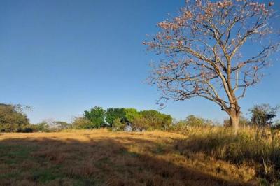 133171 - Antón - lots