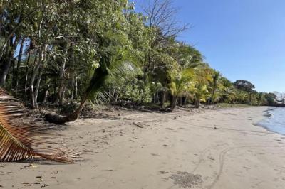 133256 - San Lorenzo - lots