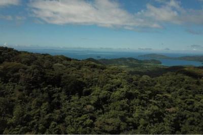 133443 - Las Palmas - lotes