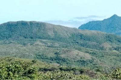 133585 - Veraguas - lotes