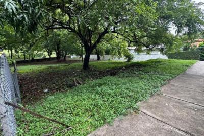 133668 - San francisco - lotes