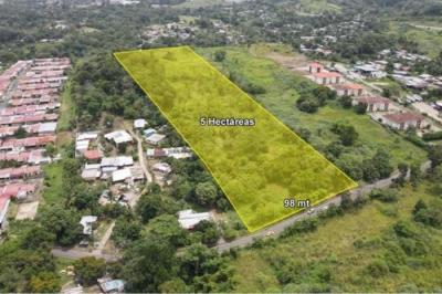 133690 - Pedregal - propiedades