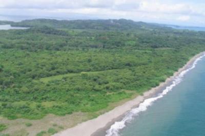 133706 - San Lorenzo - propiedades