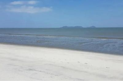 133735 - Punta chame - lotes