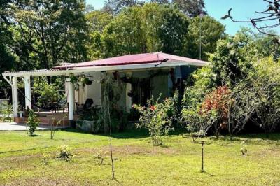 133787 - Veraguas - lotes