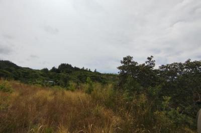 133861 - Los llanitos - lots