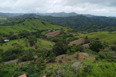 134755 - Tonosí - lotes