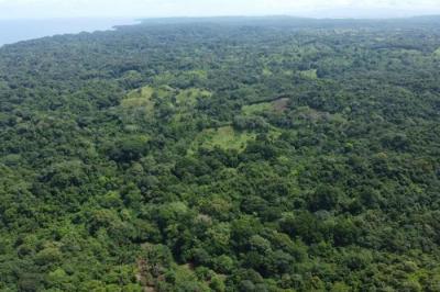 135312 - Chagres - lotes