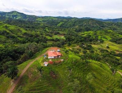 135889 - Veraguas - lotes