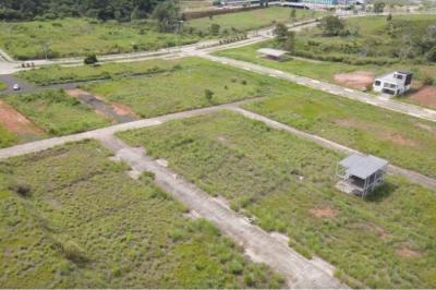 136335 - Pedregal - lotes