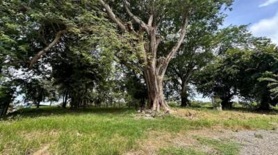 136355 - Chiriquí - propiedades