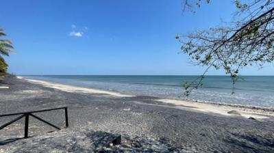 136426 - San carlos - lotes