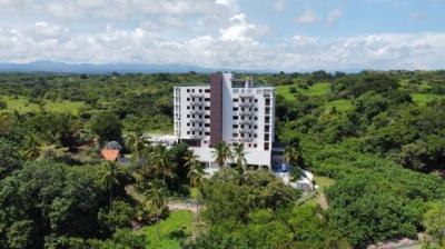 136514 - Las uvas - inversiones