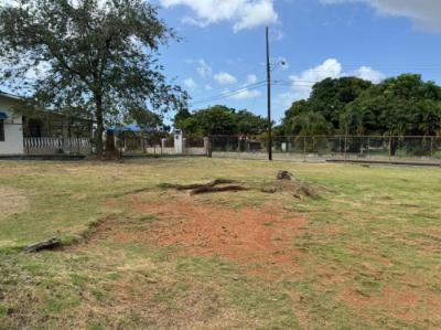 136519 - La Chorrera - lotes