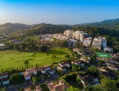 136643 - Cocoli - lotes