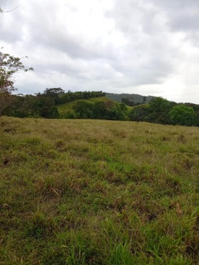136764 - Veraguas - lots