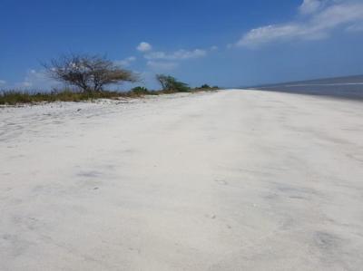 136916 - Punta chame - lotes