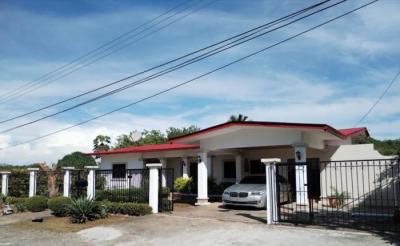 136920 - David - casas