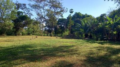 136924 - Dolega - propiedades