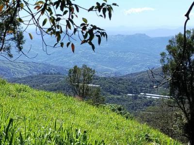 137018 - Chiriquí - lots