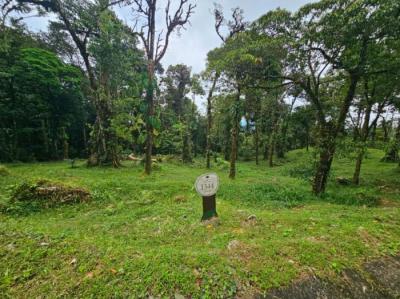 137050 - Altos del maria - lotes