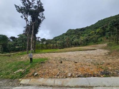 137053 - Altos del maria - lotes