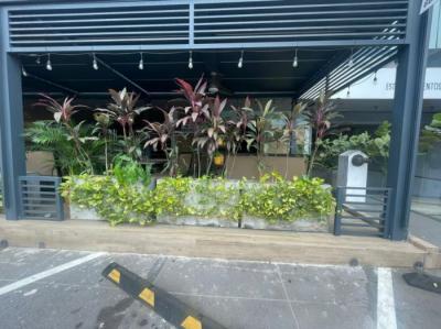 137055 - San francisco - locales