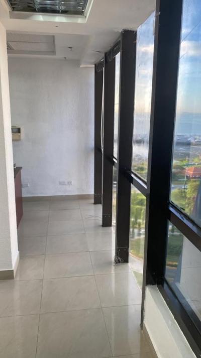 137080 - Avenida balboa - oficinas