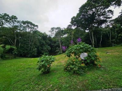 137092 - Altos del maria - lotes