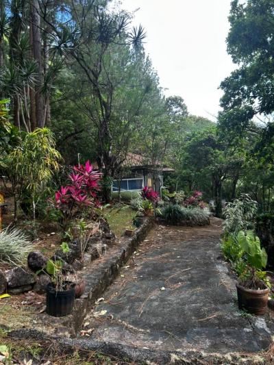 137124 - Altos del maria - lotes