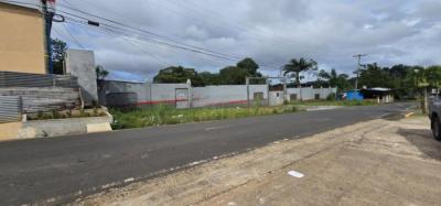 137171 - Nuevo arraijan - casas