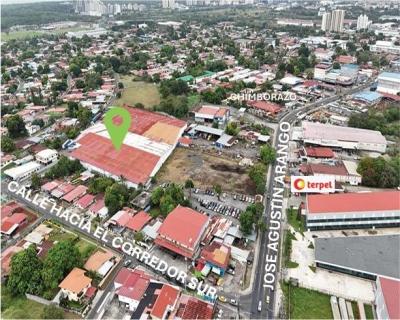 137203 - Juan diaz - casas