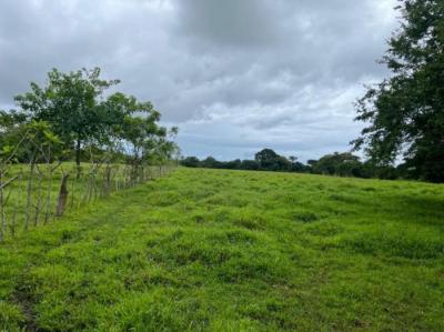 137259 - Pedasí - lotes