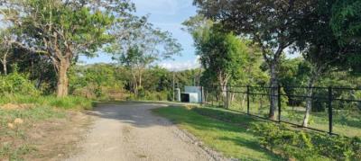 137279 - Boquete - lotes