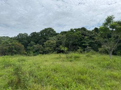 137307 - Veraguas - lotes