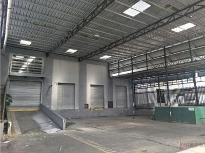 137328 - Tocumen - warehouses - Parque Industrial de las Americas