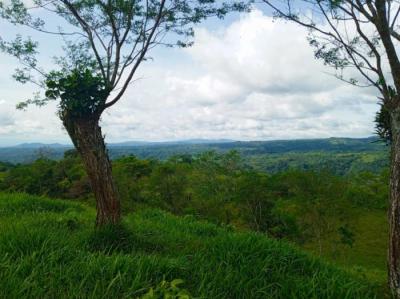 137388 - Santa rosa - lotes