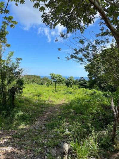 137391 - Puerto armuelles - lotes