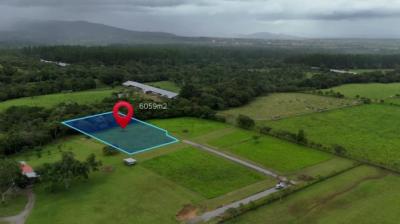 137395 - Potrerillos - lotes