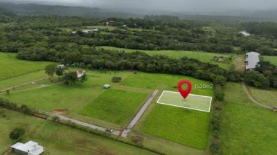 137397 - Potrerillos - lotes