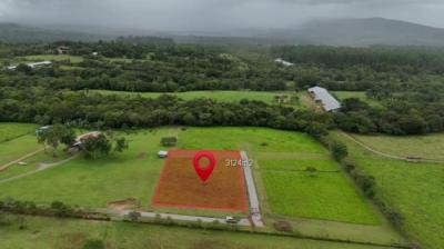 137398 - Potrerillos - lotes