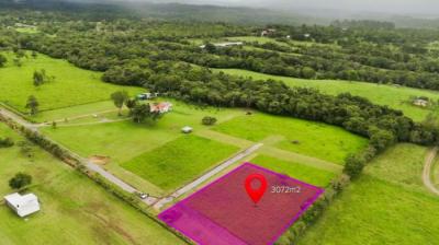 137399 - Potrerillos - lotes