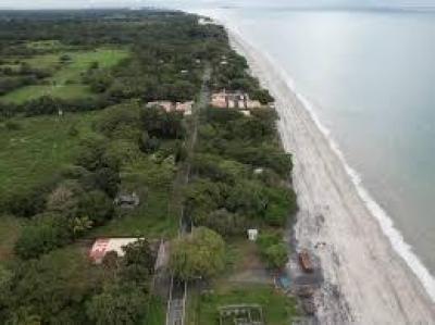 137447 - Antón - lotes